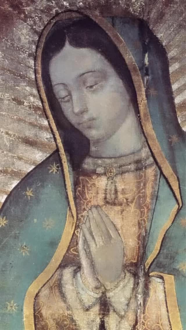 Comment Amen if you’d like to join me on a Catholic pilgrimage I’m leading to the Basilica of Our Lady of Guadalupe — the most visited Catholic pilgrimage site in the entire world!
We will stand before the miraculous tilma drawn by the hands of God. We will walk where Our Lady walked with St. Juan Diego on Tepeyac Hill. This is not a tourist trip. This is a pilgrimage and there is a difference. I’m convinced that it’s not only the best way to travel — it’s one of the best ways to grow in your faith in God!
✨ Daily Mass at holy sites
✨ Venerate the tilma of St. Juan Diego
✨ Visit Puebla & see some of the most beautiful churches in the world
✨ Have daily opportunities to hear talks from me and have times for prayer and reflection
✨ Travel with a community of faithful Catholics and make friendships that last a lifetime
✨ Serve at an orphanage and experience the joy of being a gift to those in need
✨ And have so much fun while enjoying the best that Mexico has to offer
⚠️ There are only 13 spots left and they will be gone by the end of the month! If you’ve been feeling called to grow deeper in your Catholic faith — this is your sign. Mother Mary has ALWAYS led me to closer to our Lord Jesus, her prayers have strengthened my faith in all the trials of life, and I’m convinced she’ll do the same for you. Comment Amen & let’s go!
🎥: @mercydivinemusic